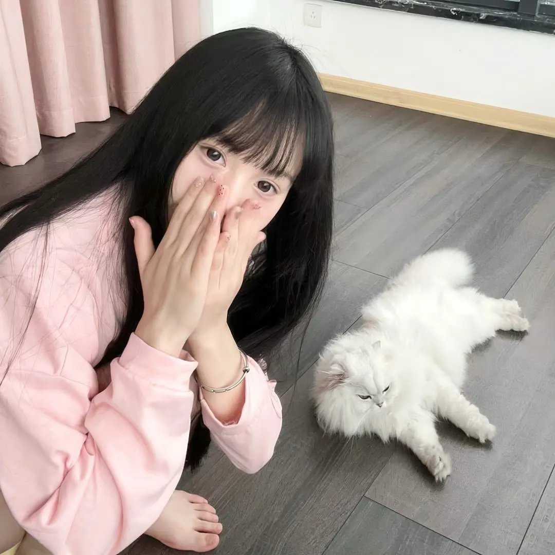 鬣狗式生存封面